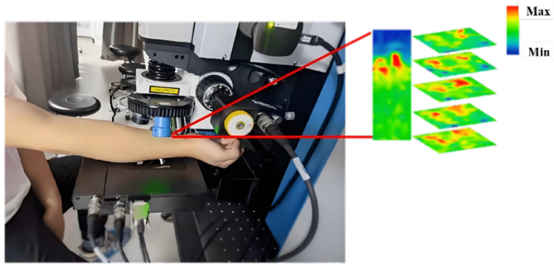 化妆品,拉曼技术,头发,化妆品功效