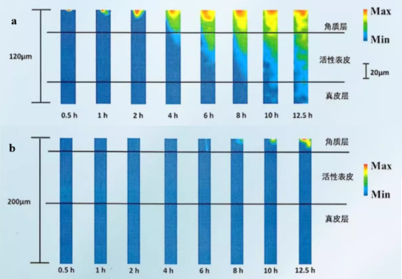 化妆品,拉曼技术,头发,化妆品功效