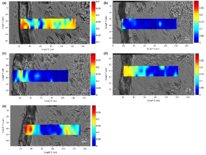 化妆品,拉曼技术,头发,化妆品功效