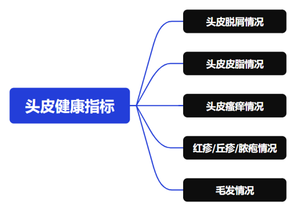 头皮健康,红斑,,丘疹,脓疱,评价方法