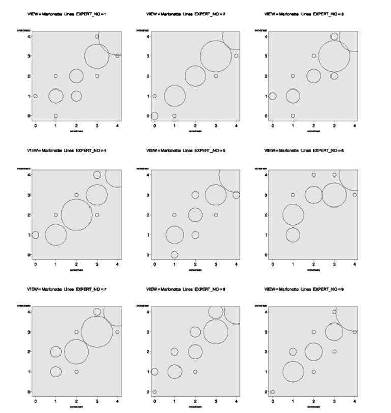 CIRS,功效评价,技术实践,木偶纹
